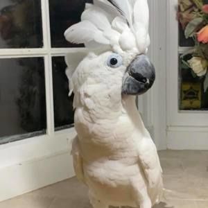 Meet your Posher, Ali